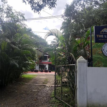 The Leisure Home Stay Shadipur 외부 사진